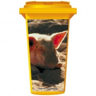 Pig In The Sand Wheelie Bin Sticker Panel